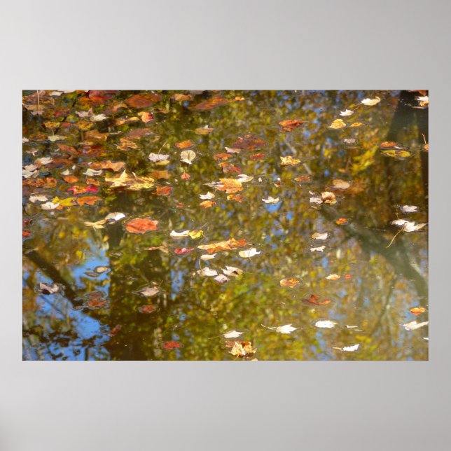 Herbstausstiege und Streams-Reflektion bei Greenbe Poster (Vorne)