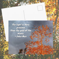 Herbstbaum Goldenes Licht John Muir Natur Zitat