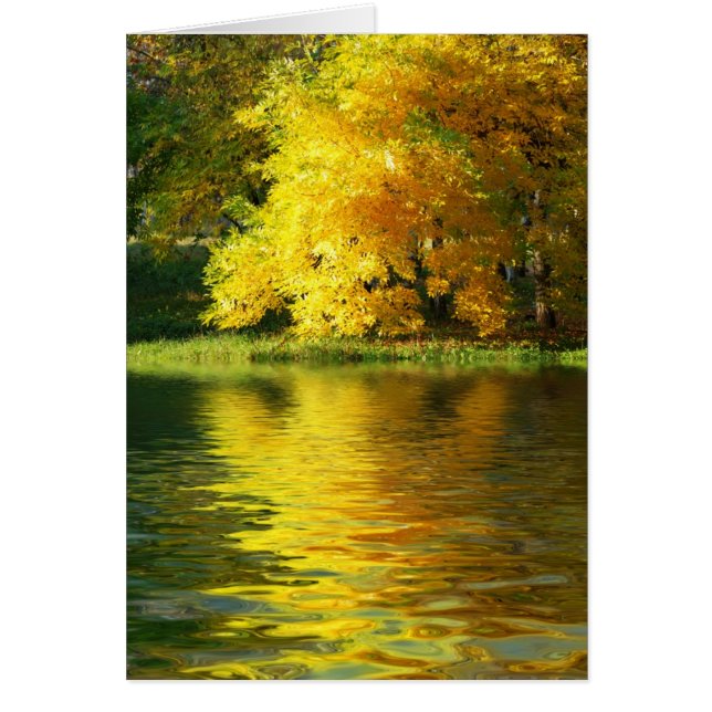 Herbstbaum im Wald mit Reflektion (Vorne)