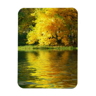 Herbstbaum im Wald mit Reflektion Magnet