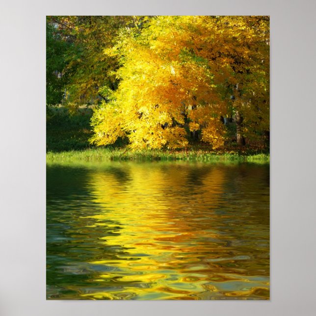 Herbstbaum im Wald mit Reflektion Poster (Vorne)