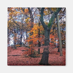 Herbstbaum Magnet