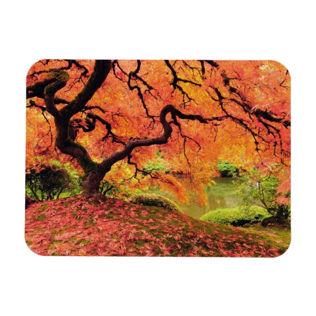 Herbstbaum Magnet (Horizontal)