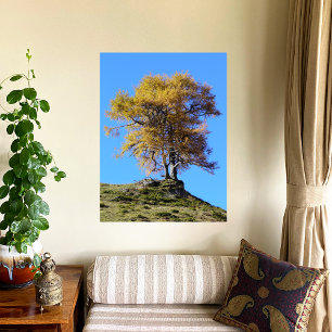 Herbstbaum Poster