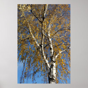 Herbstbaum Poster