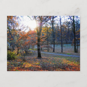 Herbstbaum Postkarte