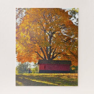 Herbstbaum und Scheune