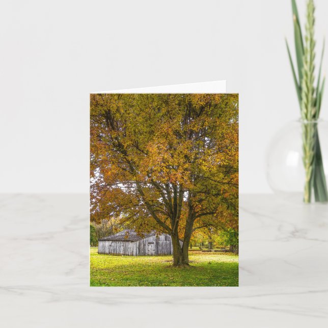 Herbstbaum- und Stallpainterly Card Karte (Vorderseite)