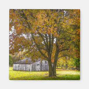 Herbstbaum und Stallpfälzchen Magnet