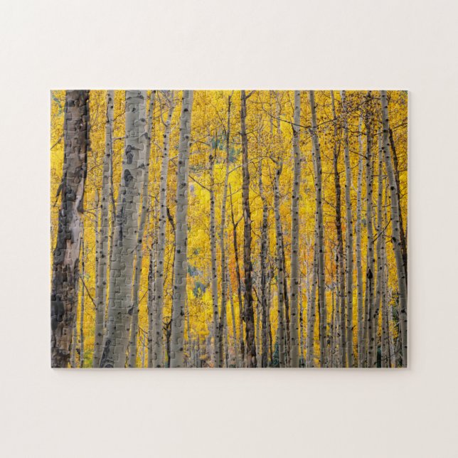 Herbstbäume (Horizontal)