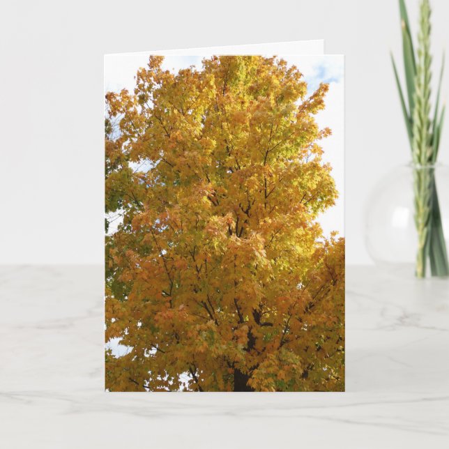 Herbstbäume, alter Freund Karte (Vorderseite)