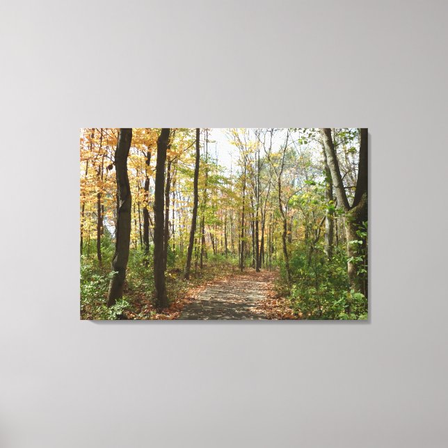Herbstbäume auf dem Wanderweg Große Leinwand druck (Vorderseite)