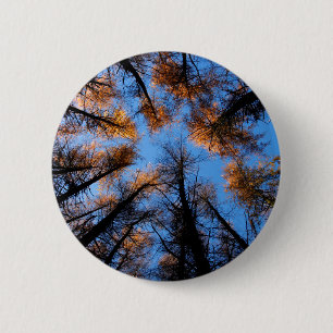 Herbstbäume bei Sonnenuntergang Button
