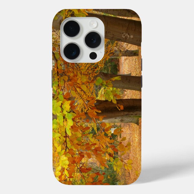 Herbstbäume Case-Mate iPhone Hülle (Rückseite)