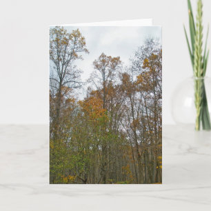 Herbstbäume gegen grauen Himmel Notizkarte Karte
