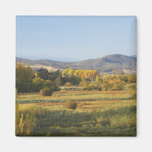 Herbstbäume, Khancoban, Snowy Mountains, New Magnet