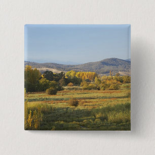 Herbstbaume, Khankoban, Schneeberge, neu Button