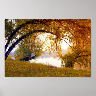 Herbstbäume Misti Lake Poster