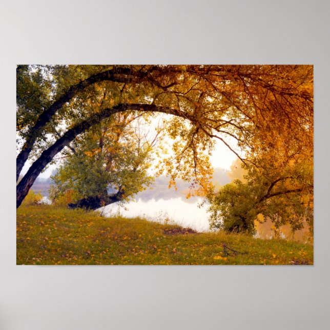 Herbstbäume Misti Lake Poster (Vorne)