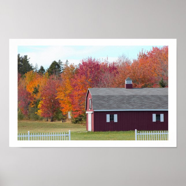 Herbstbäume mit Stall Poster (Vorne)