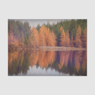 Herbstbäume Orange Herbst Thema Gemalte Szenerie Seidenpapier