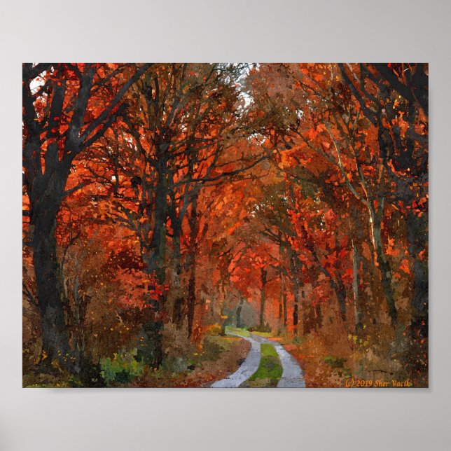 Herbstbaume Poster (Vorne)