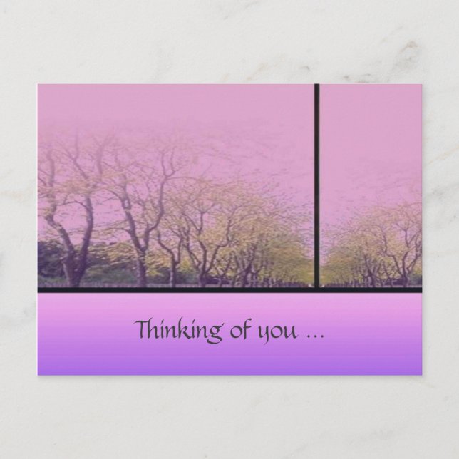 Herbstbäume Postkarte (Vorderseite)