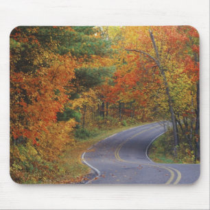 Herbstbäume säumen die Straße im Itasca State Park Mousepad