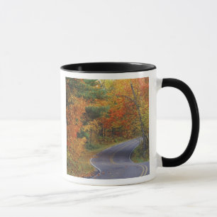 Herbstbäume säumen die Straße im Itasca State Park Tasse