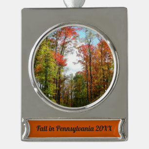 Herbstbäume und blauer Himmel Herbst-Naturfotograf Banner-Ornament Silber