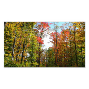 Herbstbäume und blauer Himmel Herbst-Naturfotograf Fotodruck