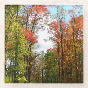 Herbstbäume und blauer Himmel Herbst-Naturfotograf Glasuntersetzer