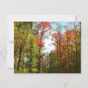 Herbstbäume und blauer Himmel Herbst-Naturfotograf Karte