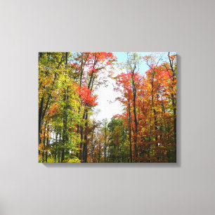 Herbstbäume und blauer Himmel Herbst-Naturfotograf Leinwanddruck