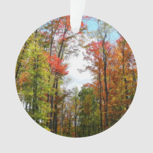 Herbstbäume und blauer Himmel Herbst-Naturfotograf Ornament