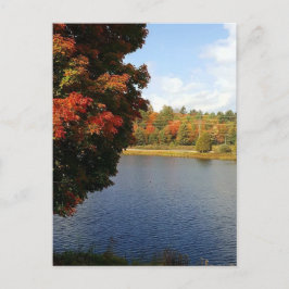 Herbstbaumen in Ontario, Kanada Postkarte