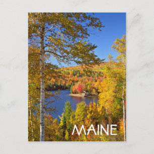 Herbstbaumlandschaft, Maine Postkarte