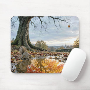 Herbstbaumspiegelung in einer Pfütze mit Eichhörnc Mousepad