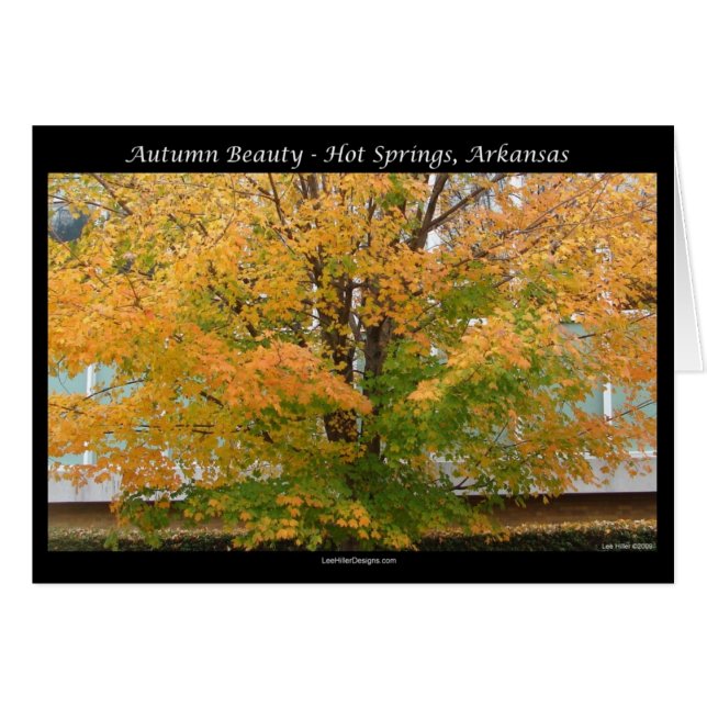 Herbstbeauty Hot Springs, Arkansas Apparel Geschen (Vorderseite (Horizontal))