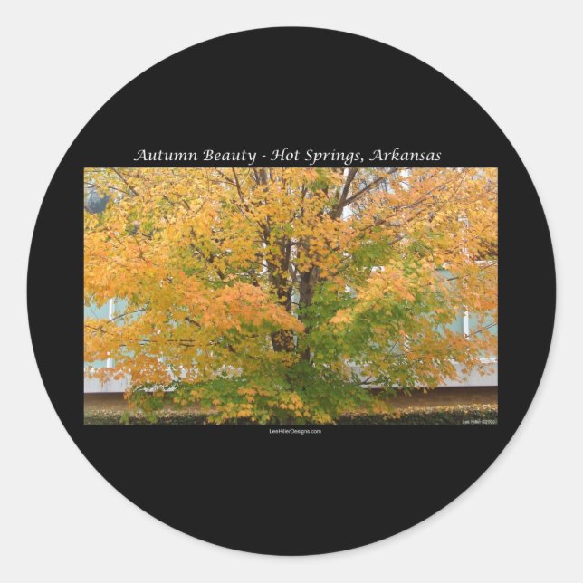 Herbstbeauty Hot Springs, Arkansas Apparel Geschen Runder Aufkleber (Vorderseite)