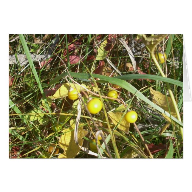 Herbstbeeren (Vorderseite (Horizontal))