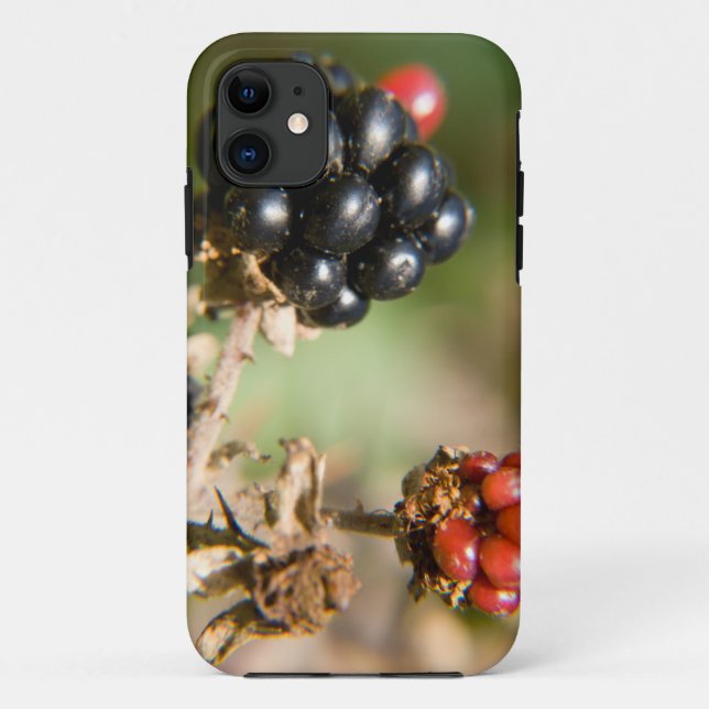 Herbstbeeren Case-Mate iPhone Hülle (Rückseite)