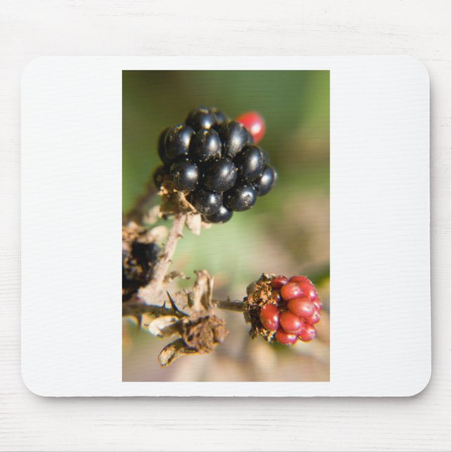 Herbstbeeren Mousepad (Vorne)
