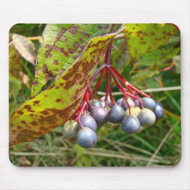 Herbstbeeren Mousepad (Vorne)