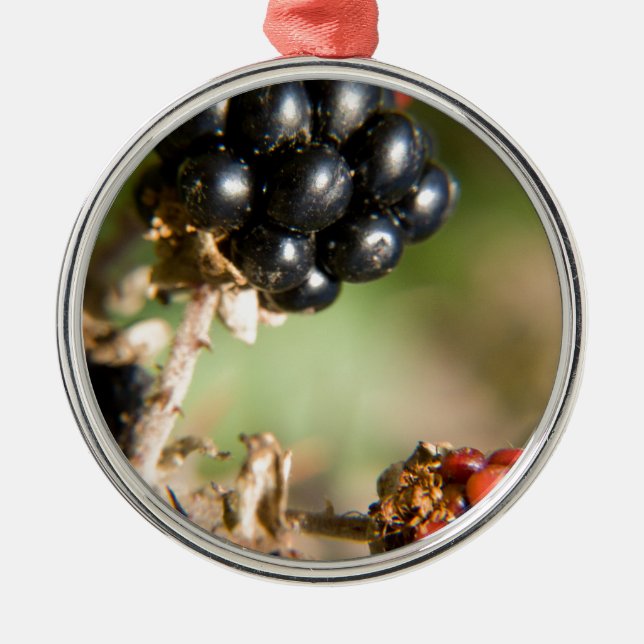 Herbstbeeren Silbernes Ornament (Vorne)