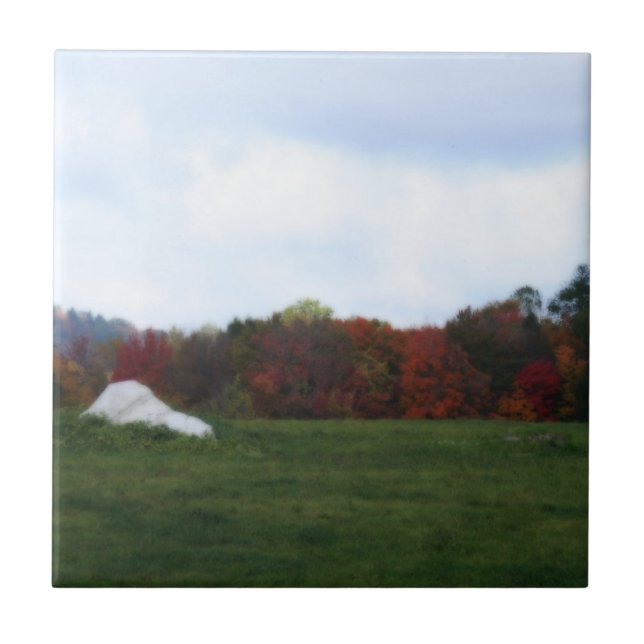 Herbstbelag Naturkunst Tile Fliese (Vorderseite)