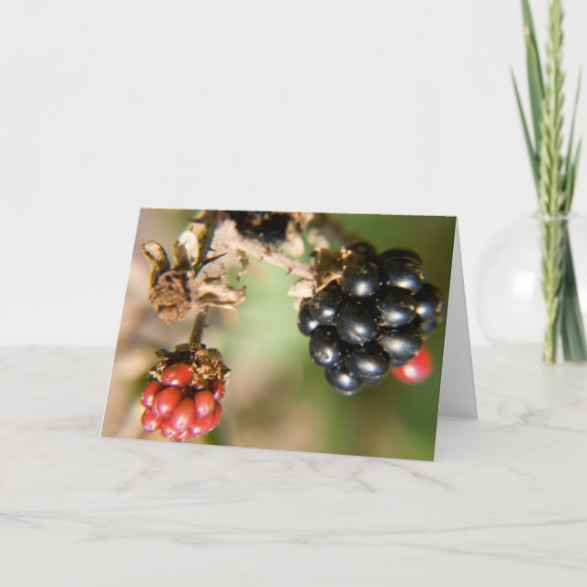 Herbstberries Grußkarten Karte (Vorderseite)