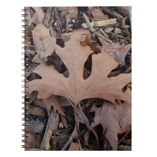 Herbstblatt Notizblock (Vorderseite)