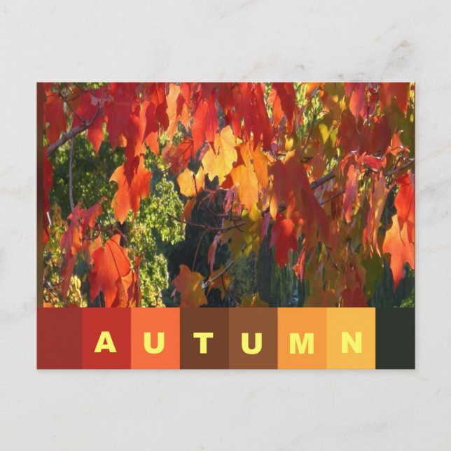 Herbstblatt Postkarte (Vorderseite)