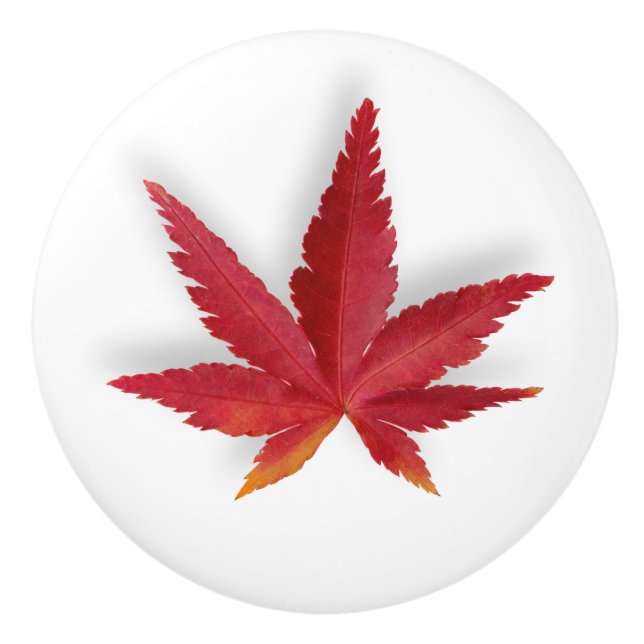 Herbstblatt Roter Single Keramikknauf (Vorderseite)
